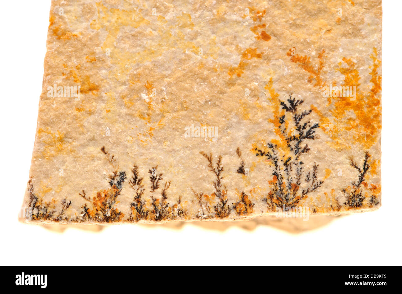Dendritic Pyrolusite crystals (manganese oxide) on rock surface Stock Photo