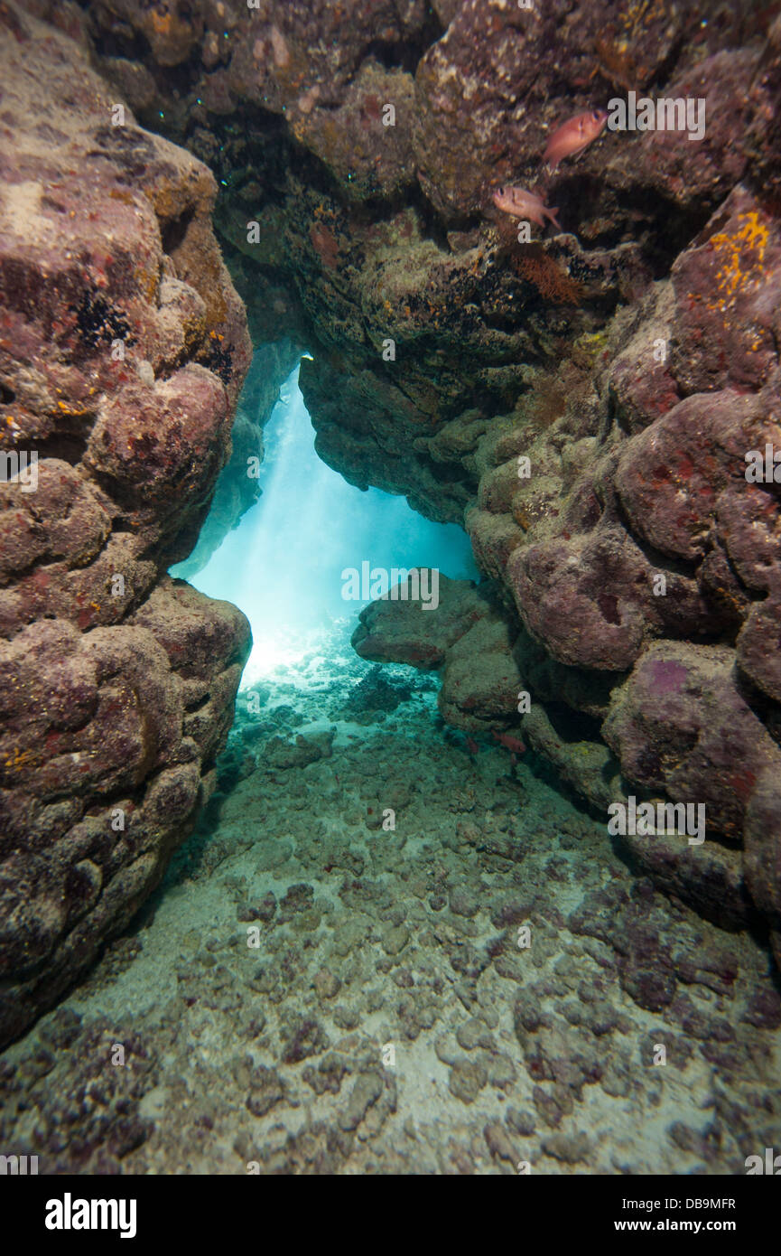 Sunlight streaming through an underwater cave in tropical coral reef Stock Photo