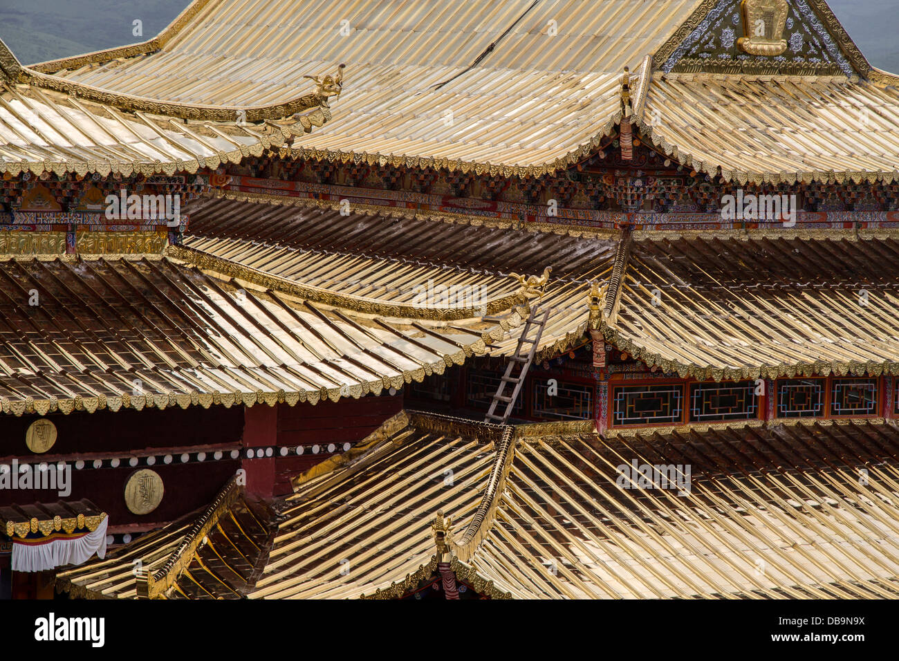 Golden roof of Langmusi temple , sichuan, china Stock Photo