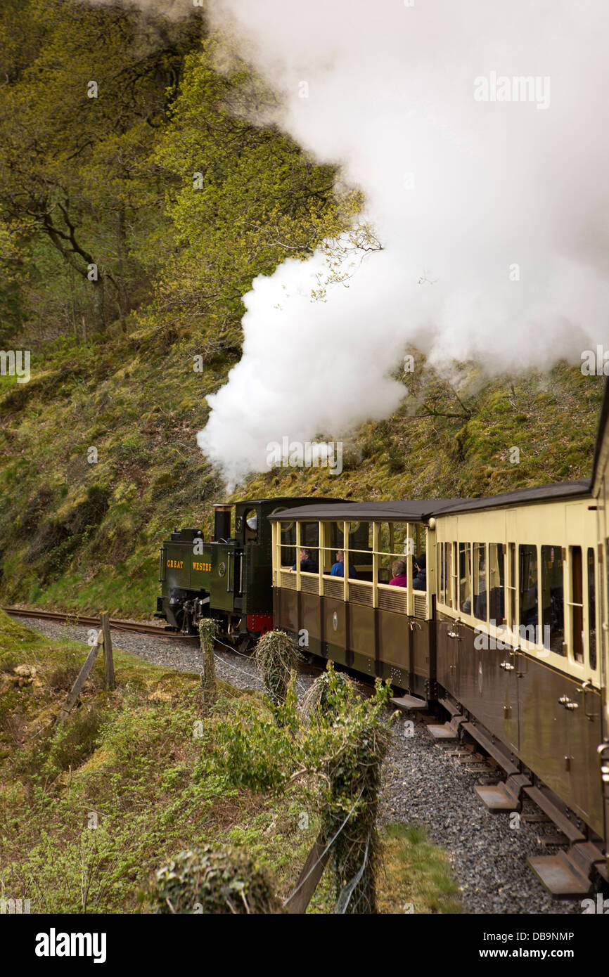 UK, Wales, Ceredigion, Aberystwyth, Vale of Rheidol Light Railway train en route to Devil’s Bridge Stock Photo