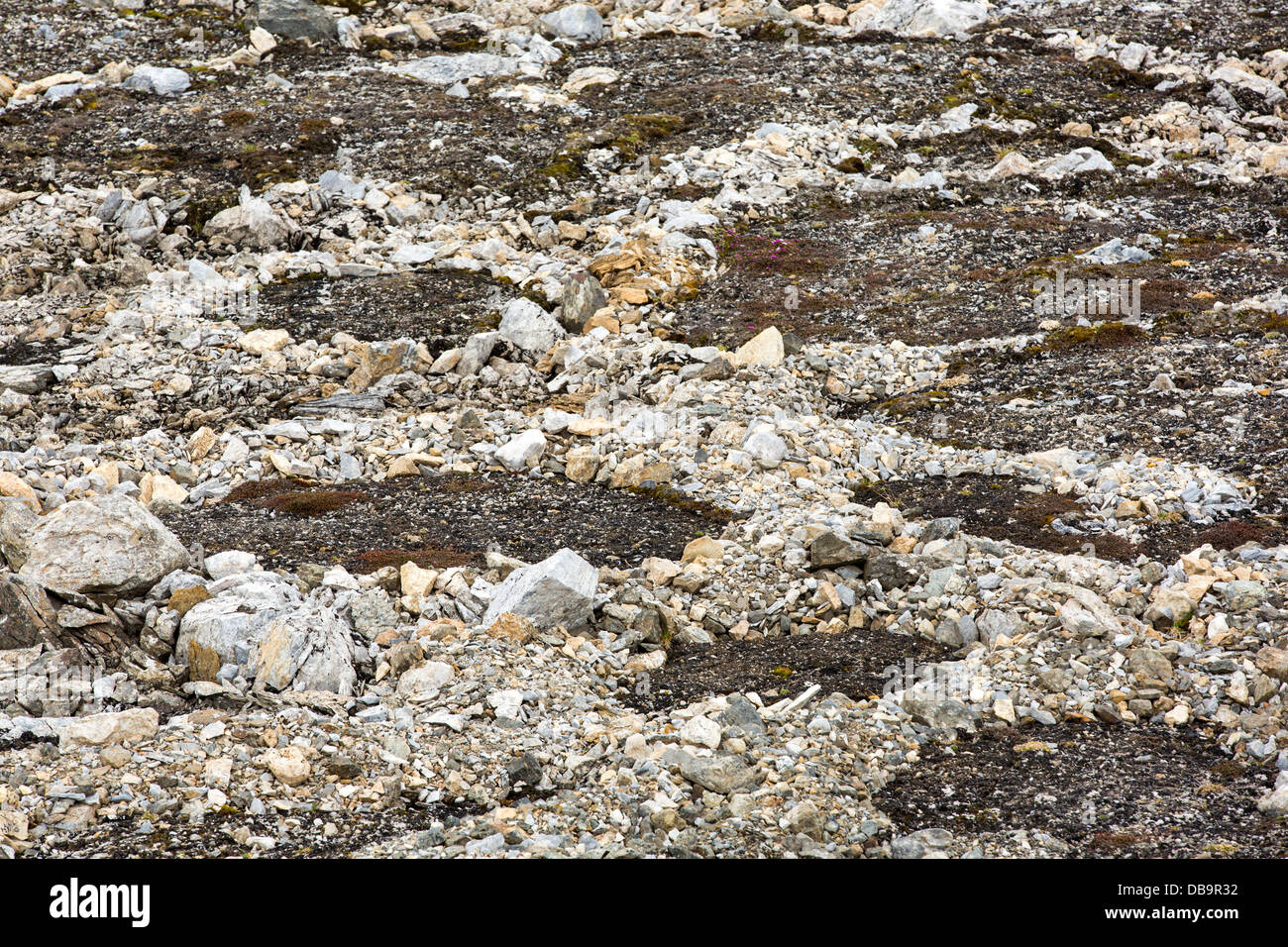 Patterned ground and stone circles formed above permafrost in the high Arctic on Spitsbergen, Svalbard. Stock Photo