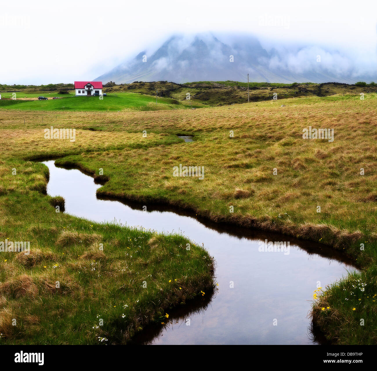 Small scenic river streaming in lush green meadow Iceland Stock Photo