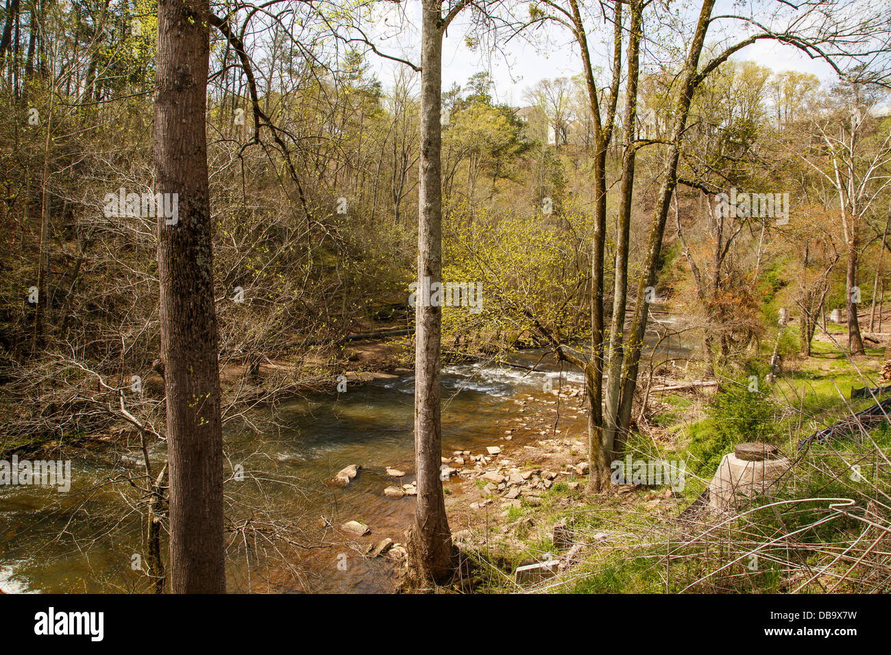 Springtime Forest Bridge Springtime forest hi-res stock photography and images - Alamy