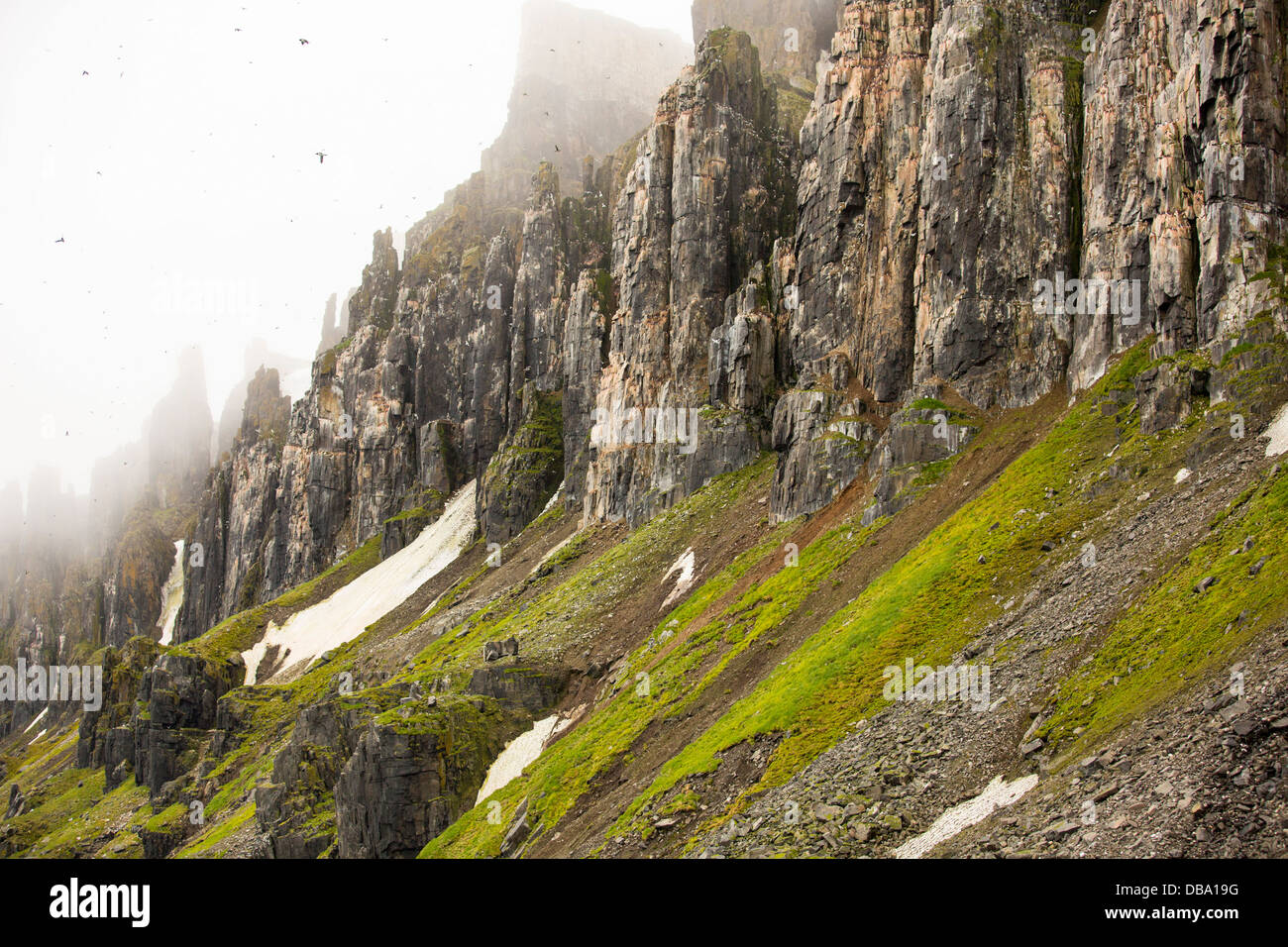 Sea bird nesting cliffs at Aalkefjellet 79 ̊ 36’n 18 ̊ 27’e Hinlopenstretet Spitsbergen; Svalbard, Stock Photo