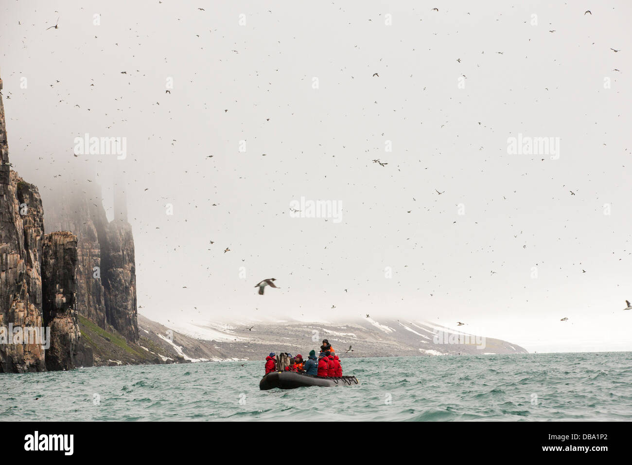 Sea bird nesting cliffs at Aalkefjellet 79 ̊ 36’n 18 ̊ 27’e Hinlopenstretet Spitsbergen; Svalbard, Stock Photo