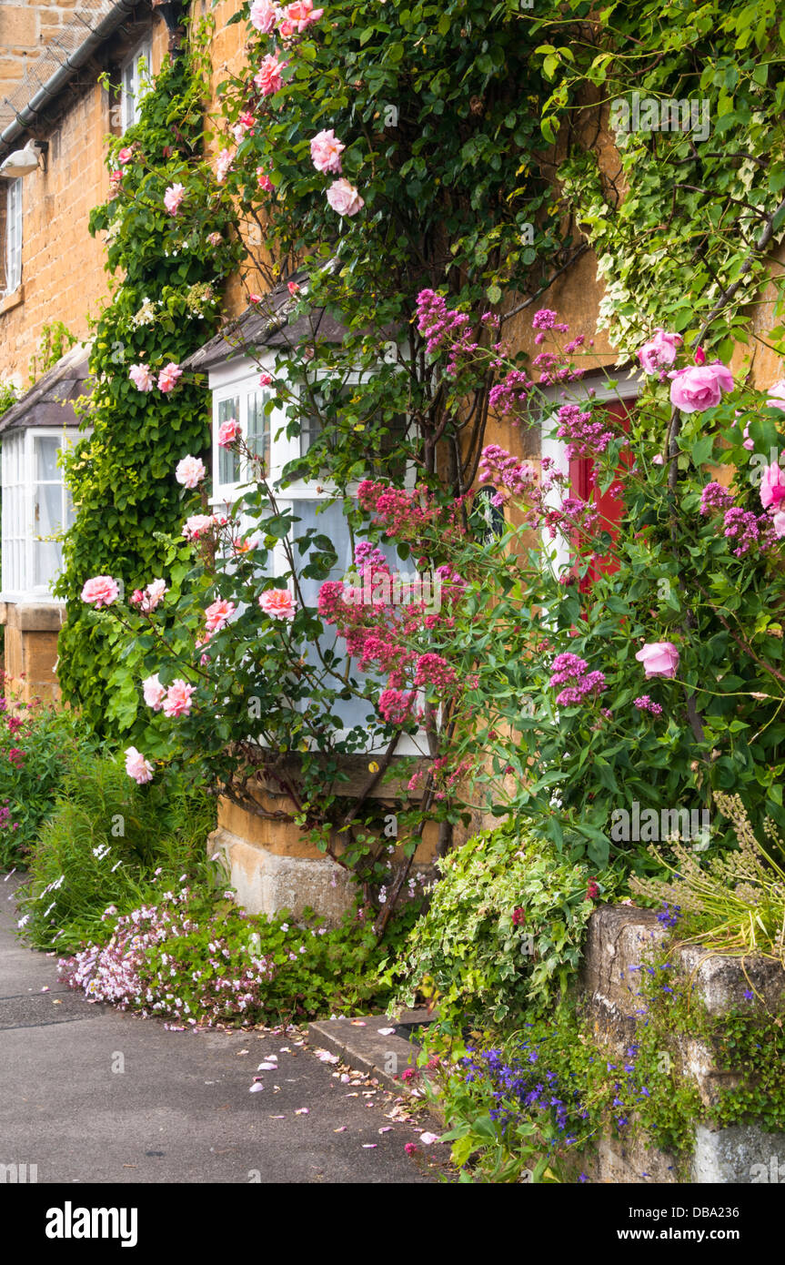 Colourful roses and summer flowers grow around a stone cottage in the