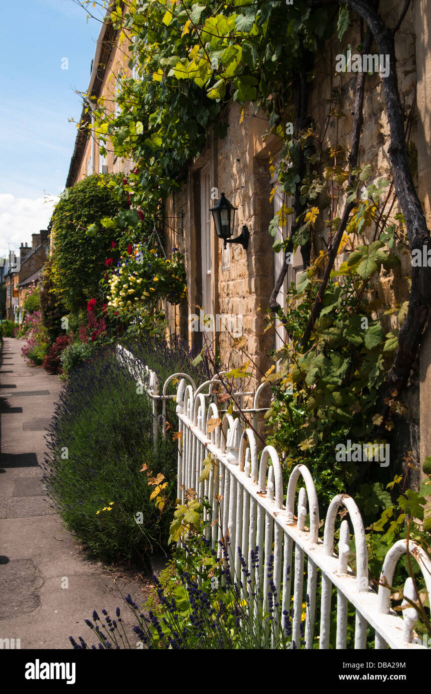 Cottage garden roses lavender hi-res stock photography and images - Alamy