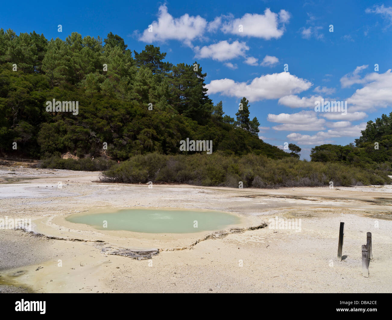 dh Wai O Tapu Thermal Wonderland WAIOTAPU  ROTORUA NEW ZEALAND NZ Geothermal sulphur landscape Oyster Pool pools north island Stock Photo