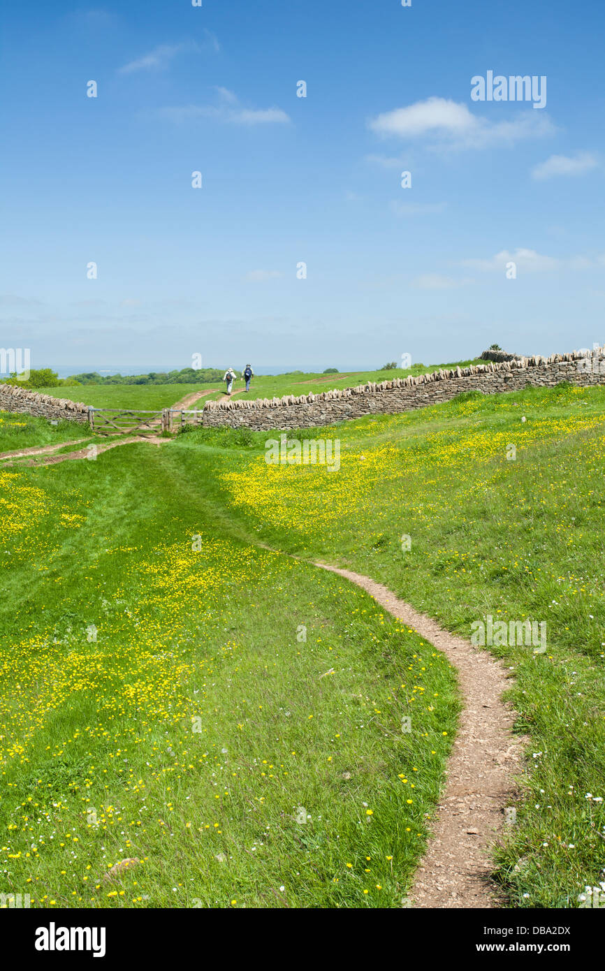 Narrow, winding track of the Cotswold Way on Broadway Hill with two walkers in the distance on a summer's day, Cotswolds, Worcestershire, England Stock Photo