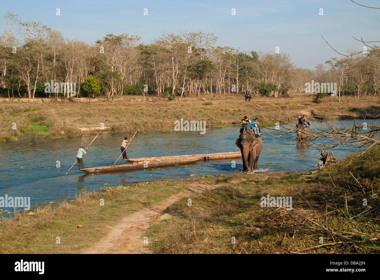 People crossing the river on elephant ride in Chitwan National park in Nepal. Stock Photo