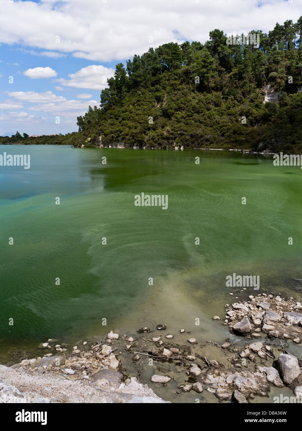 dh Wai O Tapu Thermal Wonderland WAIOTAPU NEW ZEALAND Green Lake Ngakoro sulphur water nz Stock Photo