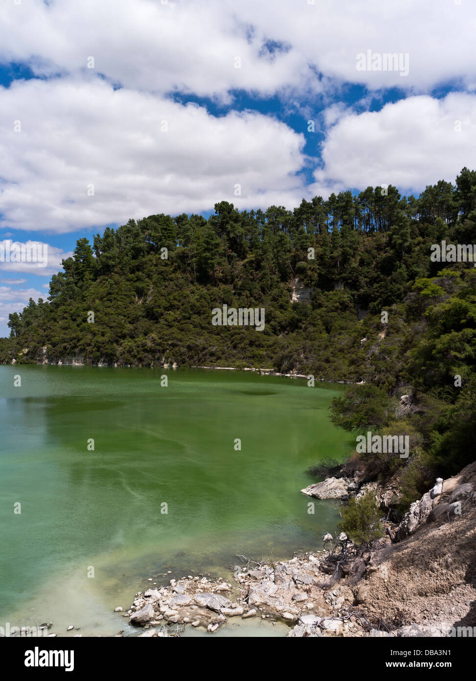 dh Wai O Tapu Thermal Wonderland WAIOTAPU  ROTORUA NEW ZEALAND NZ Green Lake Ngakoro sulphur water Stock Photo