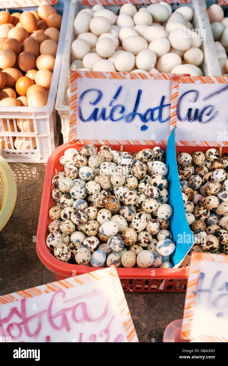 different types of eggs for sale at a market in Vietnam - including quail's eggs Stock Photo