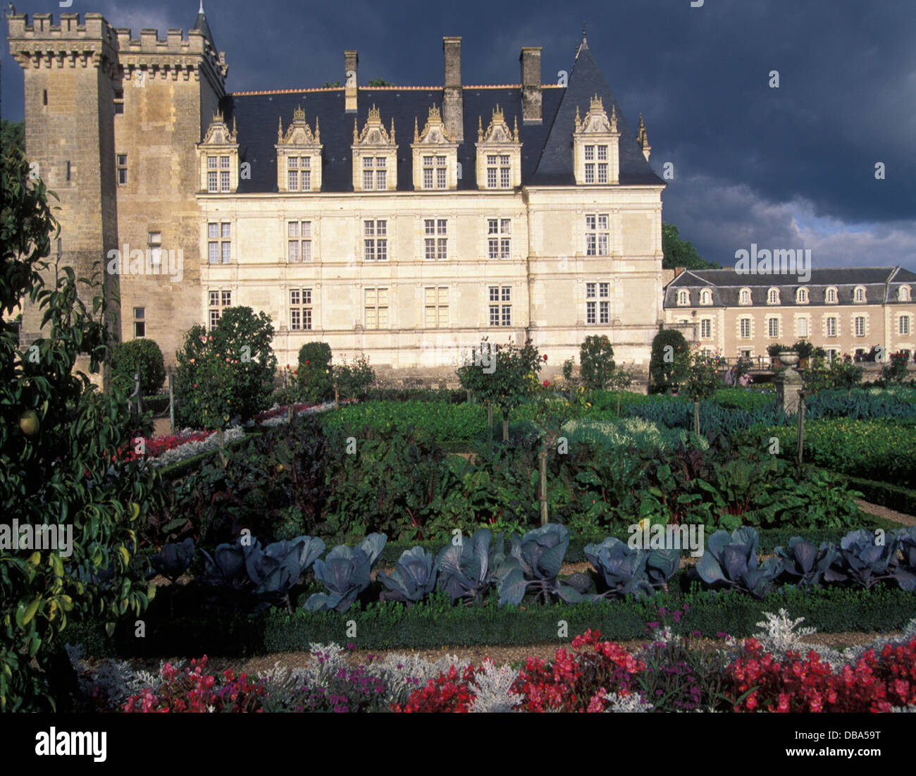 Chateau de Villandry, France Stock Photo - Alamy