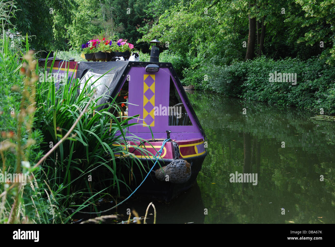 Stationary canal narrow boat hi-res stock photography and images - Alamy