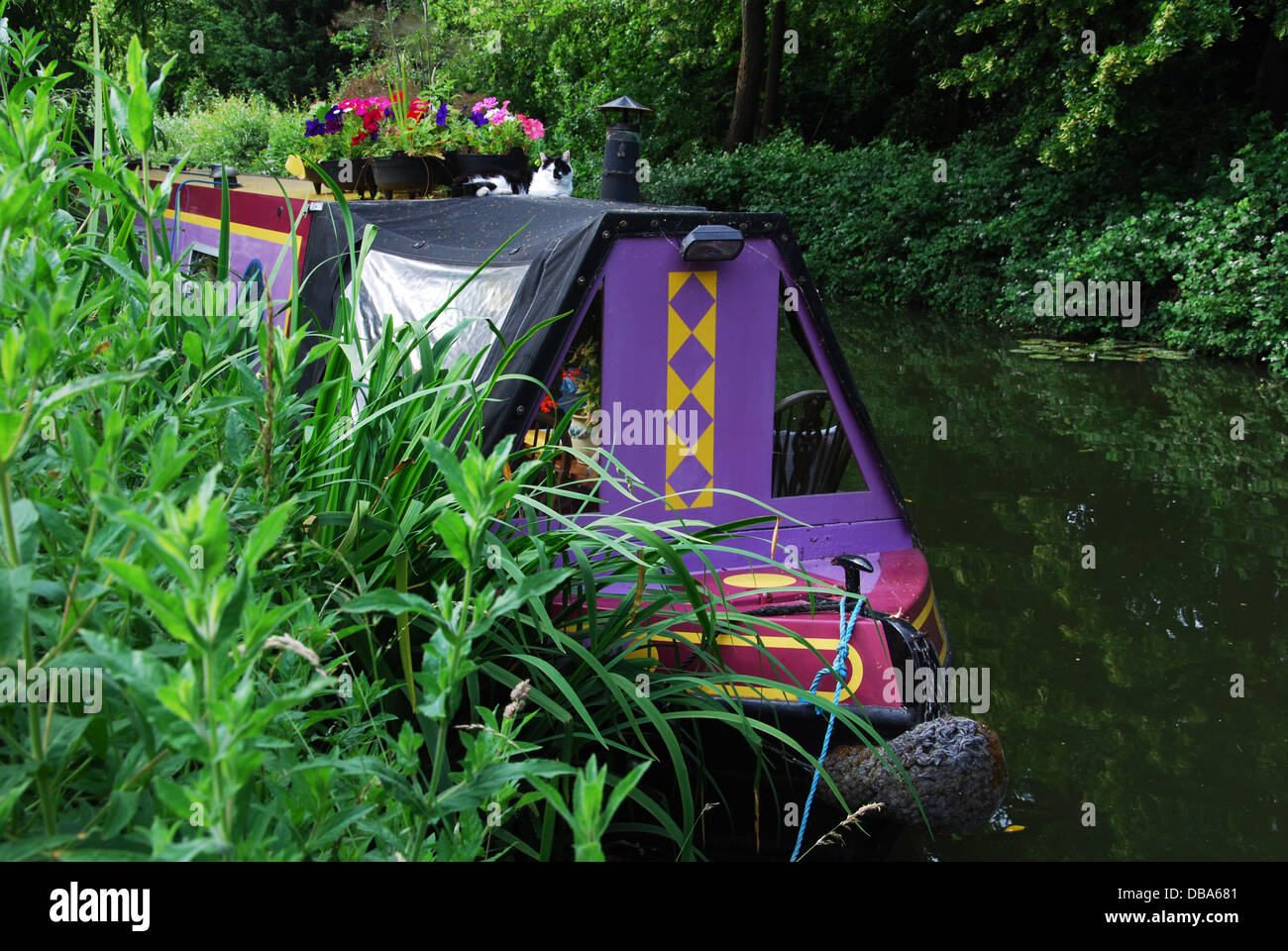 Stationary narrow boat hi-res stock photography and images - Alamy