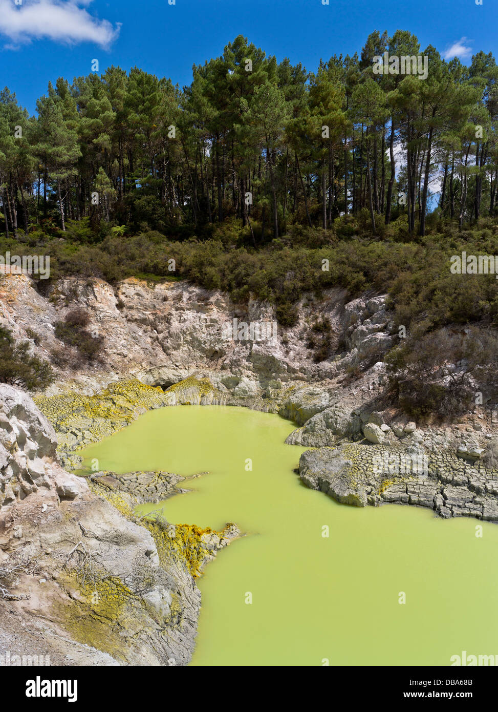 dh Wai O Tapu Thermal Wonderland WAIOTAPU NEW ZEALAND Olive green lake sulphur water Devils Cave pool geothermal geo rotorua Stock Photo