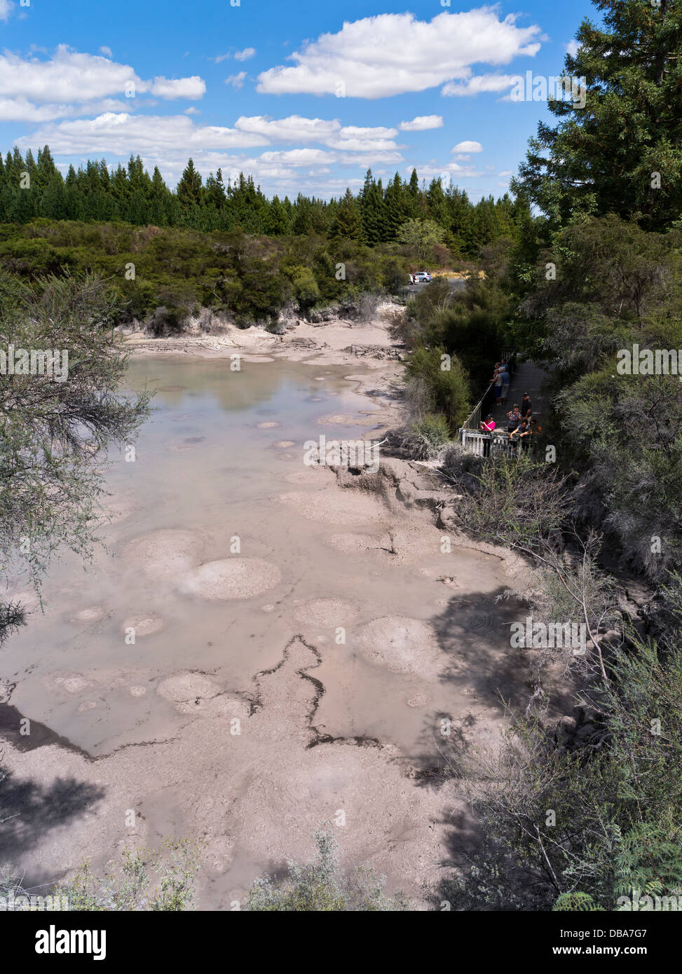 dh Wai O Tapu Thermal Wonderland WAIOTAPU NEW ZEALAND Tourist viewpoint viewing bubbling hot mud pool volanic mudpot geothermal rotorua mudpots Stock Photo