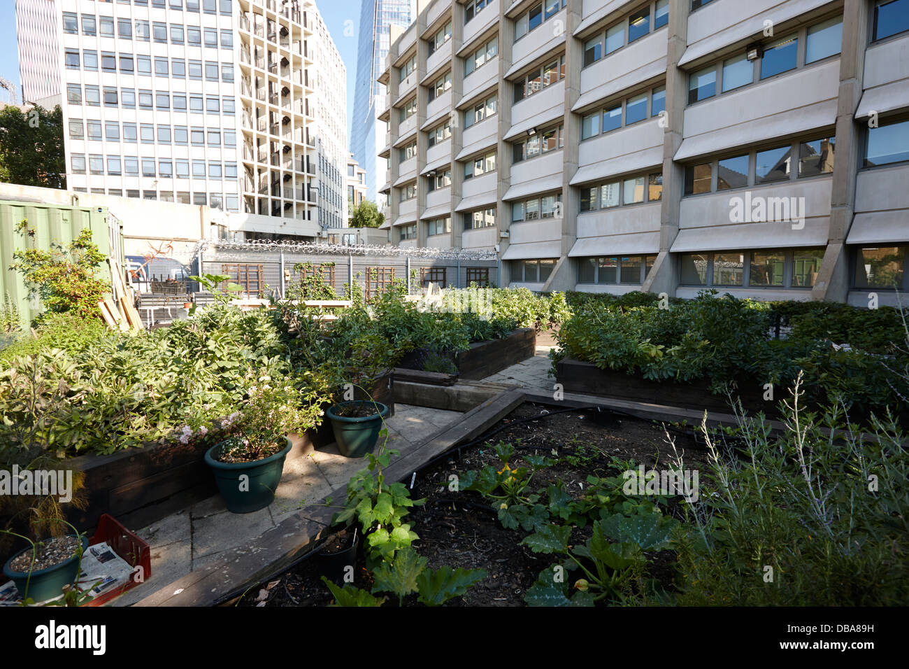 View of Inner City Community Garden High Resolution Stock Photography and ...