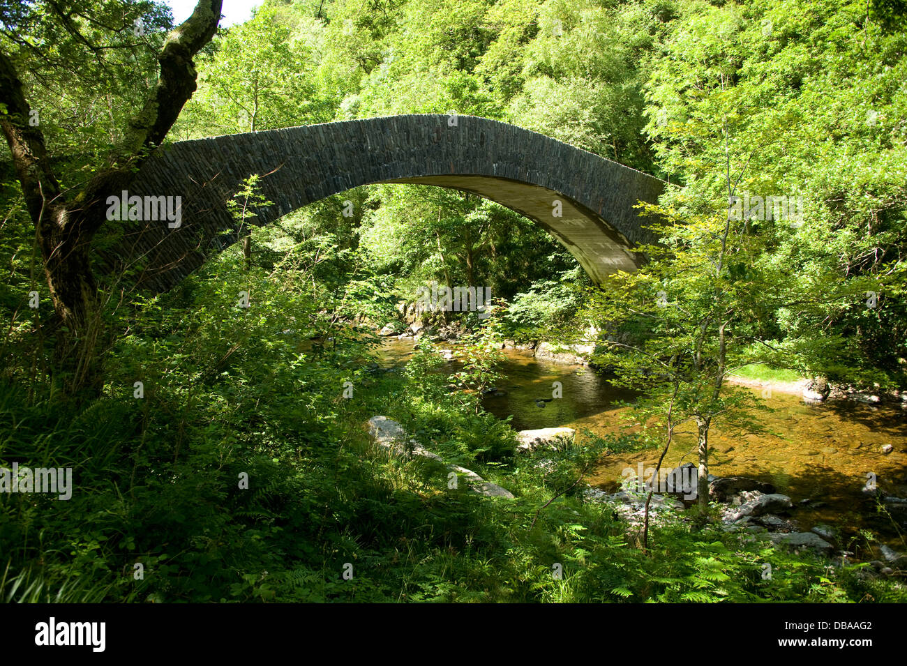 Hoar Oak River High Resolution Stock Photography and Images - Alamy