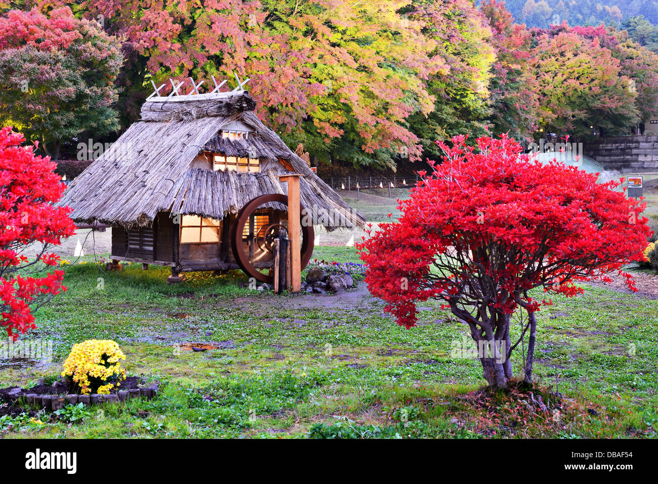 Huts and fall foliage in Kawaguchi, Japan. Stock Photo