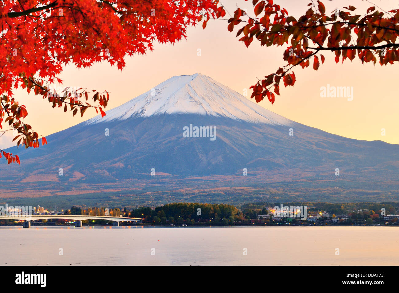 Mt. Fuji with fall colors in japan in the late afternoon. Stock Photo