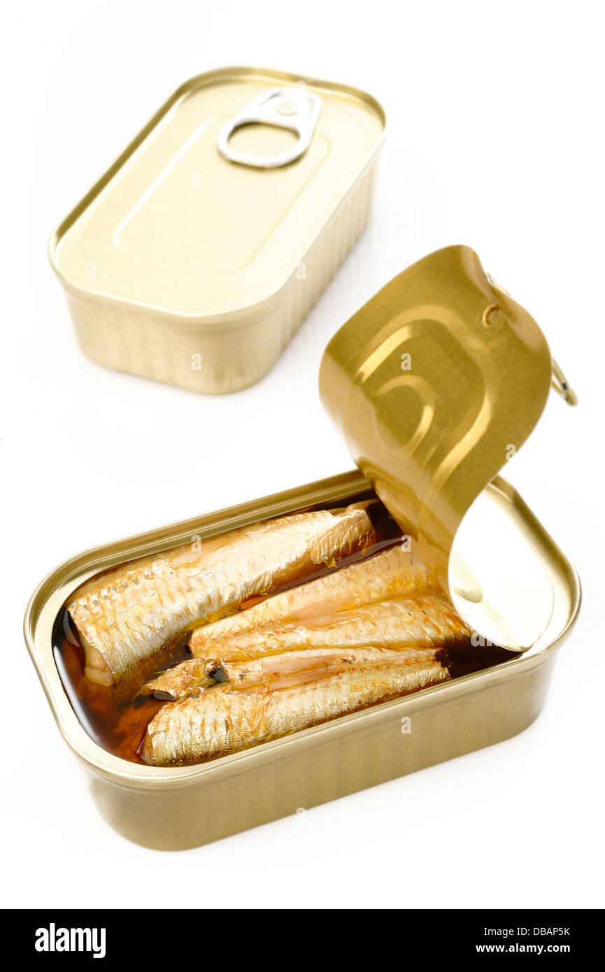 sardines in extra virgin olive oil on white background Stock Photo Alamy