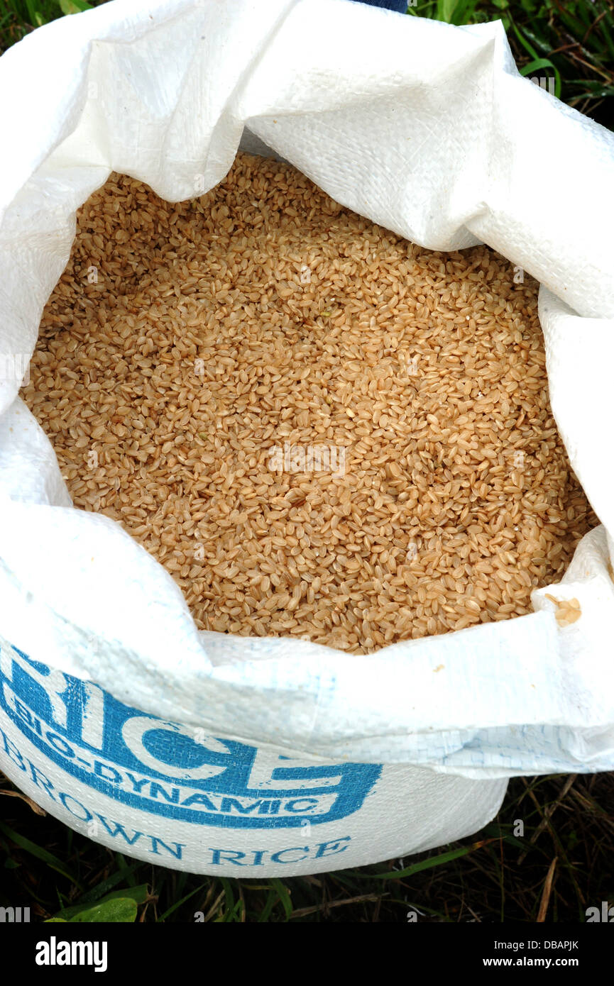 A sack of biodynamic brown rice. Stock Photo
