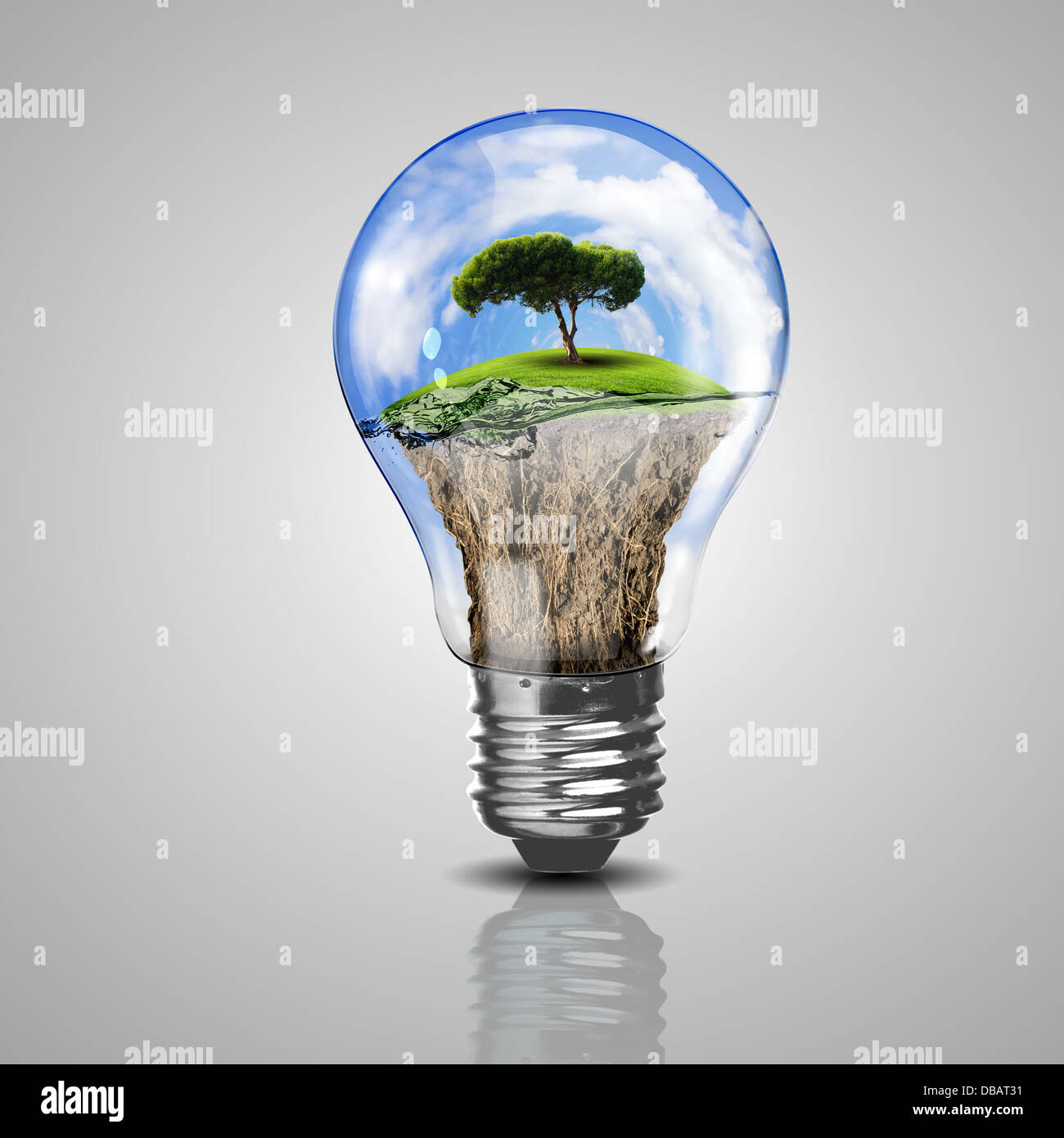 Electric light bulb and a plant inside it Stock Photo Alamy