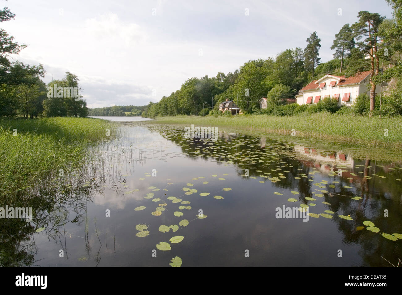 sweden swedish lake lakes summer sun idyllic location house rural summerhouse summerhouses house houses Stock Photo