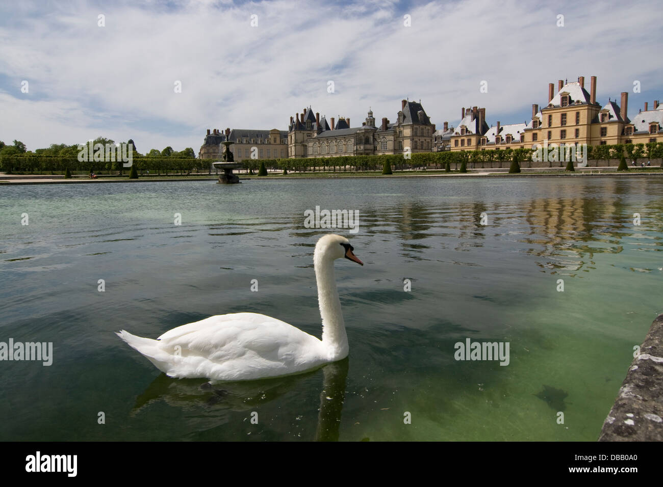 Schloss Fontainebleau: Schwan im Tibre-Becken ; Fontainebleau castle, swan in the 'Tibre'-Pond Stock Photo