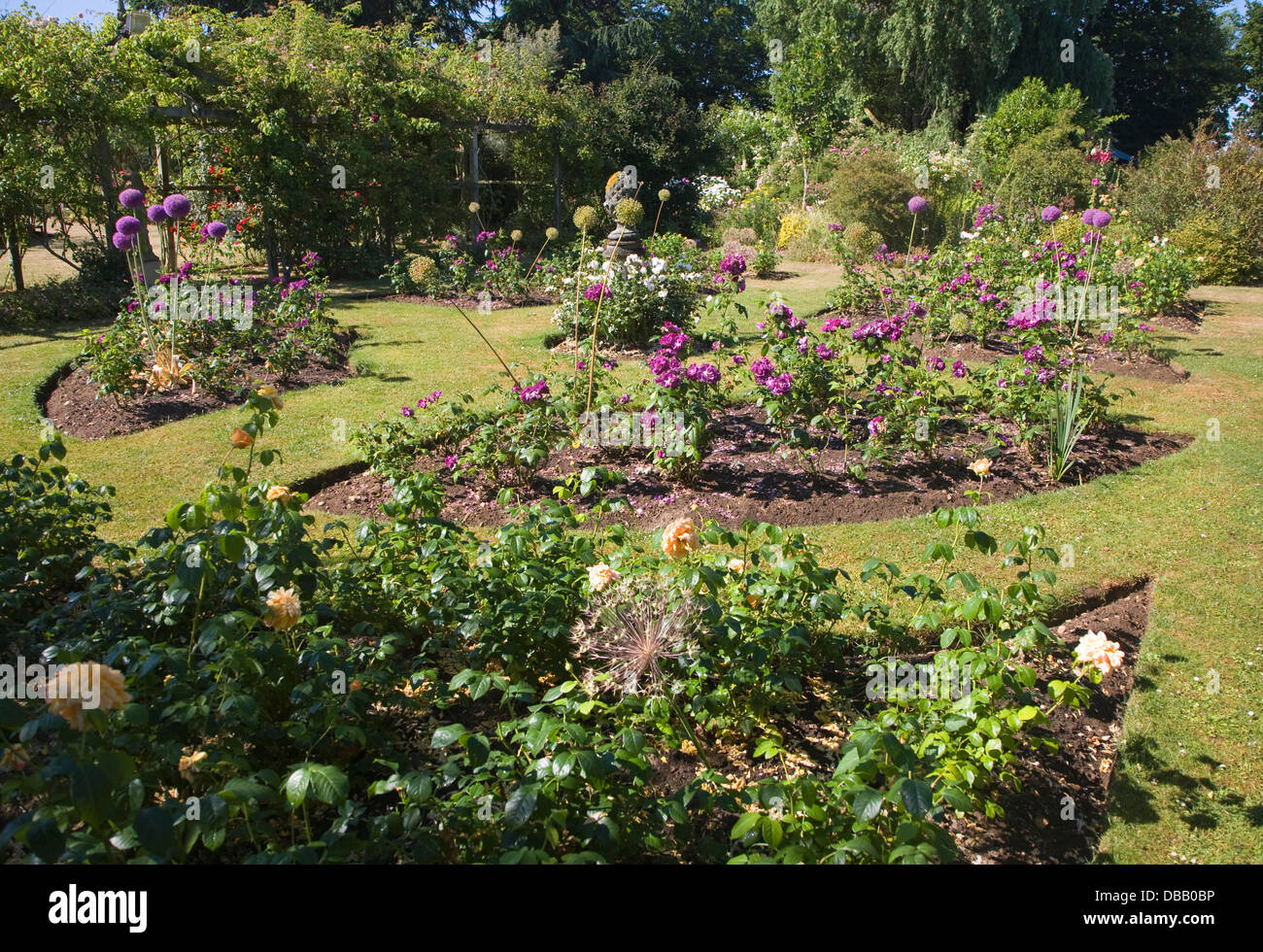 Norfolk england uk english roses gardens hires stock photography and images Alamy