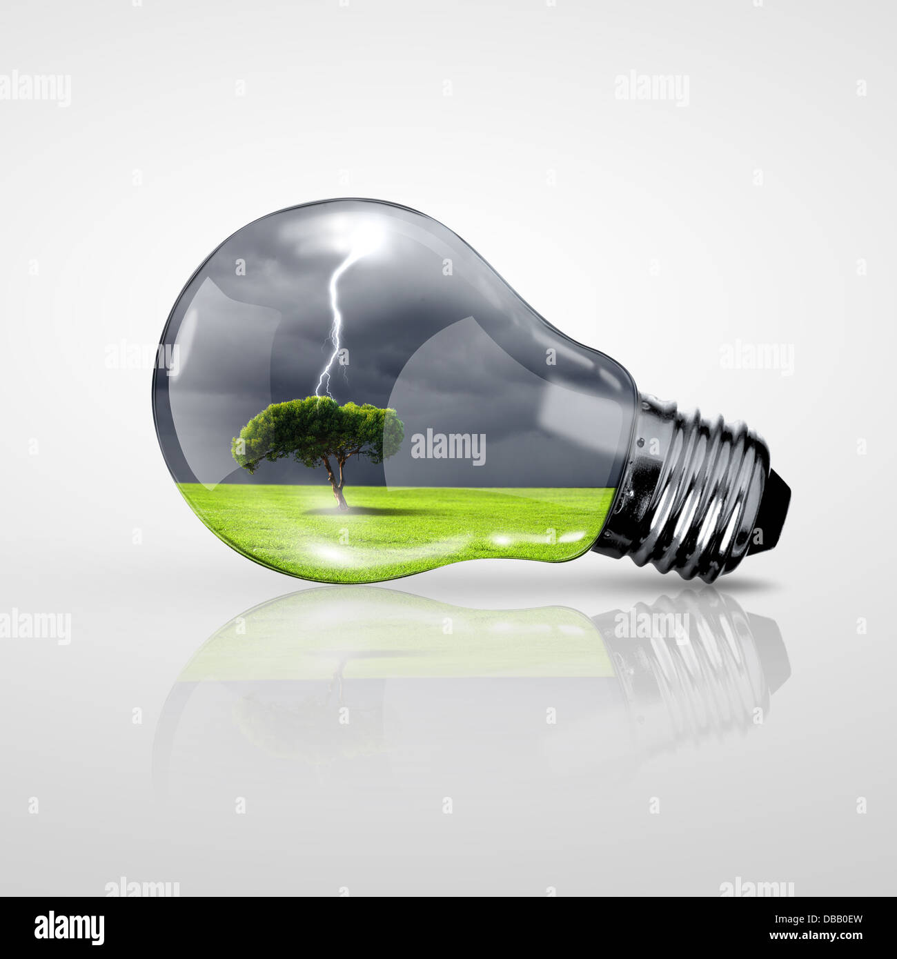 Electric light bulb and a plant inside it Stock Photo Alamy