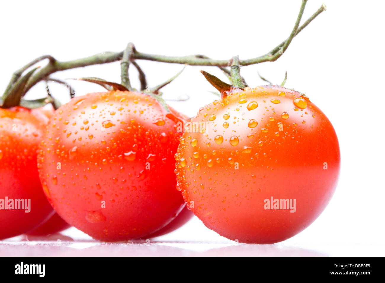 cherry tomatoes on a white macro background with water drops Stock ...