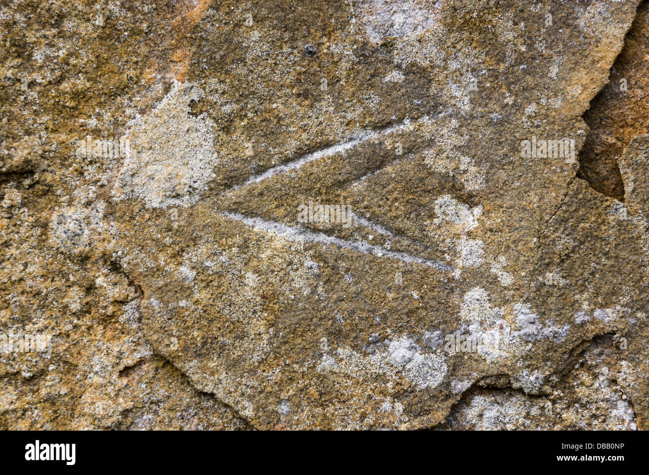 mason mark on the medieval wall of the Chapter House at Jervaulx Abbey, Wensleydale, North Yorkshire Stock Photo