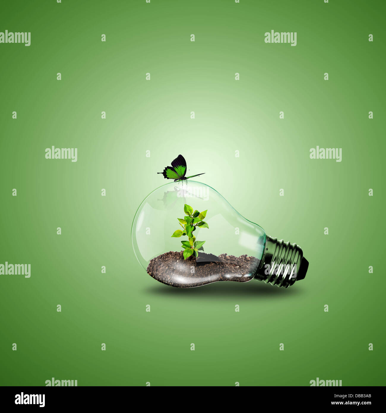 Electric light bulb and a plant inside it Stock Photo Alamy