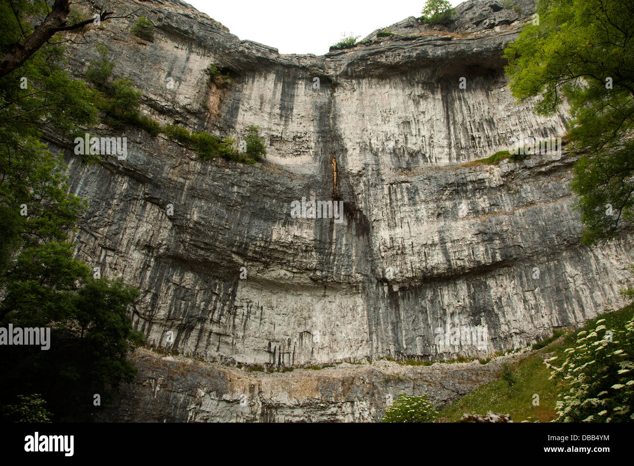 Malham Cove cliff face Yorkshire UK Stock Photo