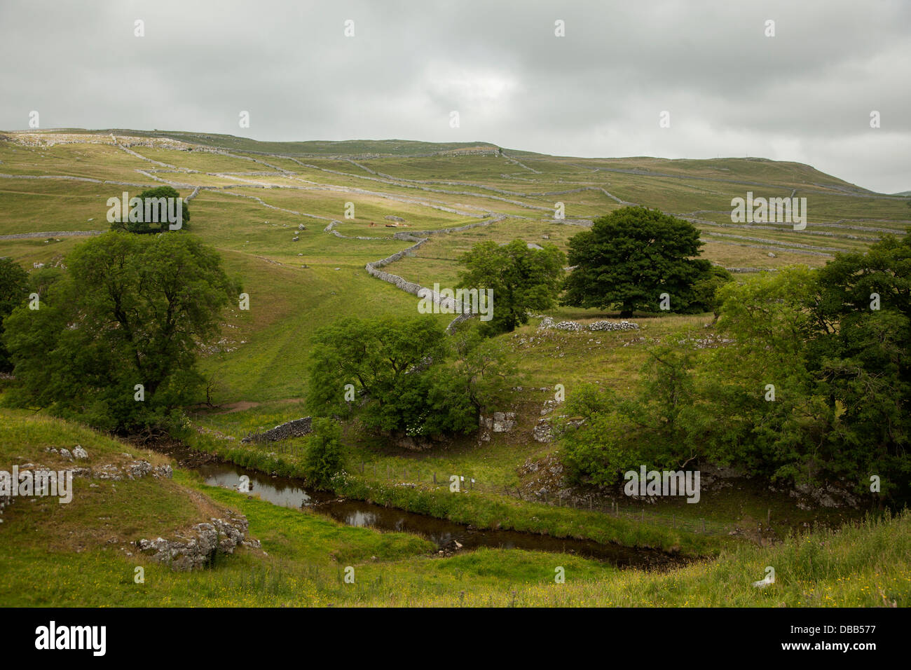 Farmland countryside with limestone walls Yorkshire England UK Stock Photo