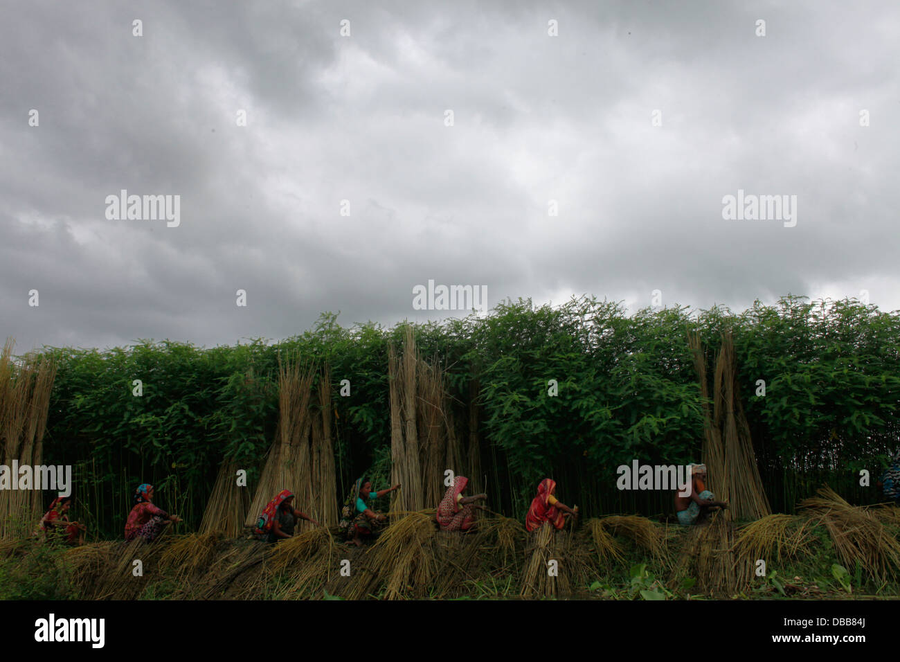 Jute bangladesh child hi-res stock photography and images - Alamy