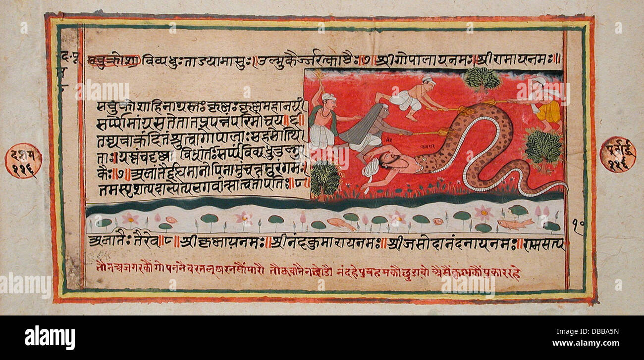A folio from the Bhagavata Purana illustrating the story of the python ...