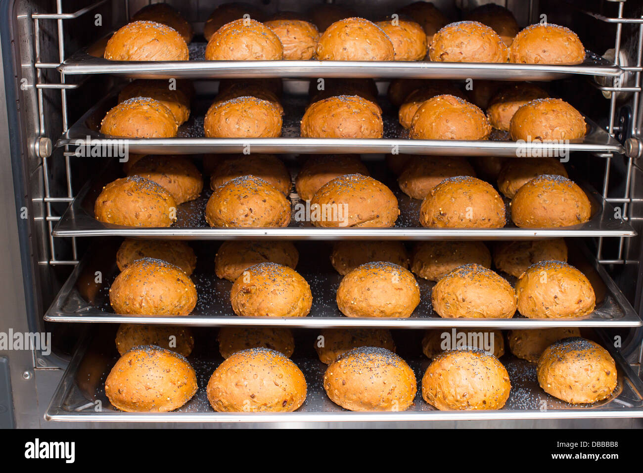 Rye bread rolls baked in the oven Stock Photo Alamy
