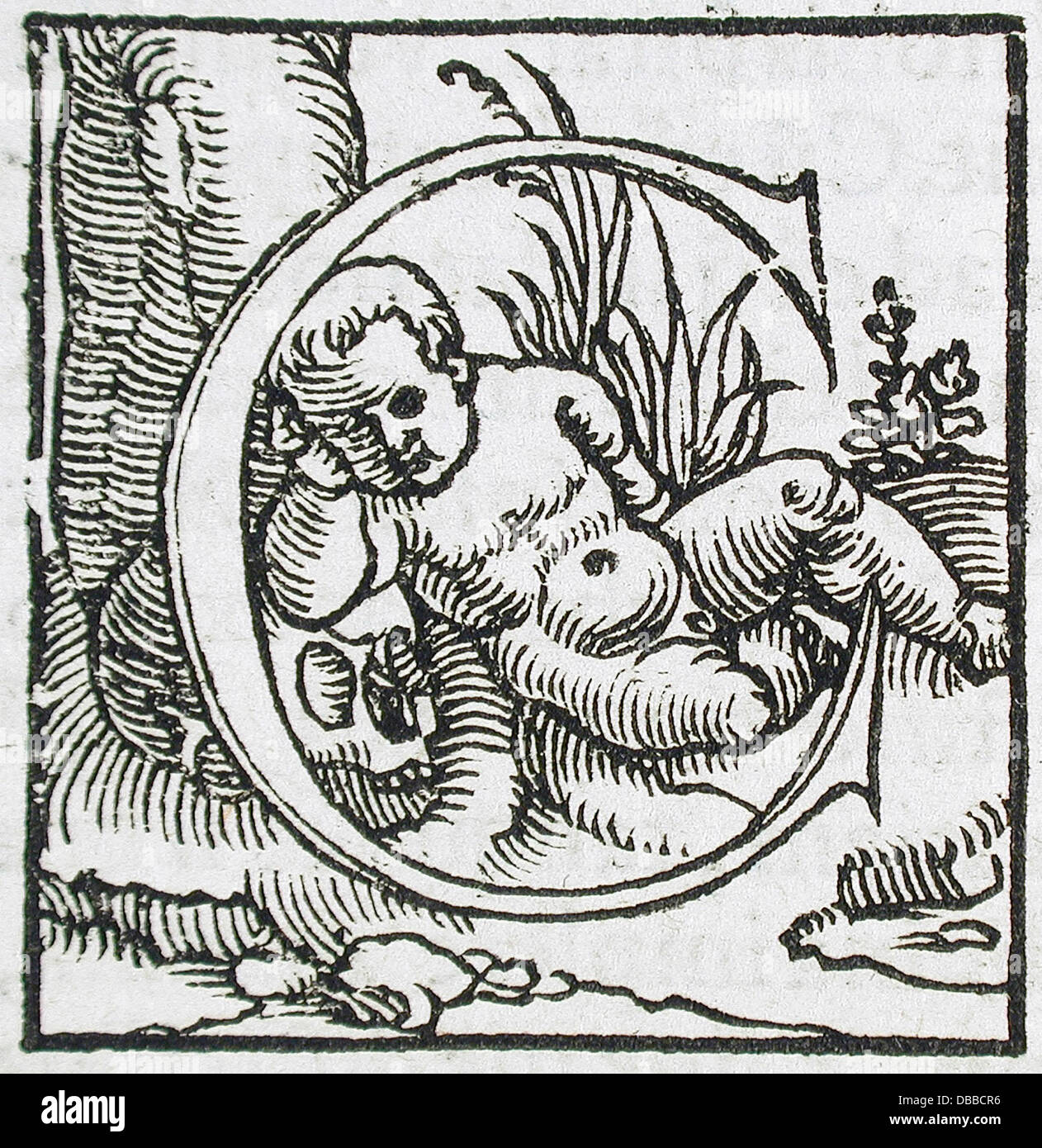 This set of ornamental letters, displayed at LACMA, features intricate ...