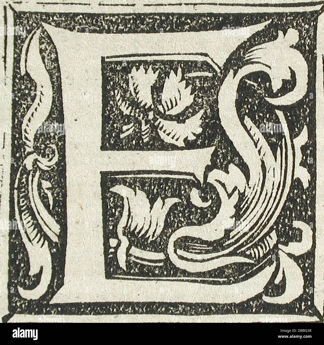 Ornamental letter f hi-res stock photography and images - Alamy