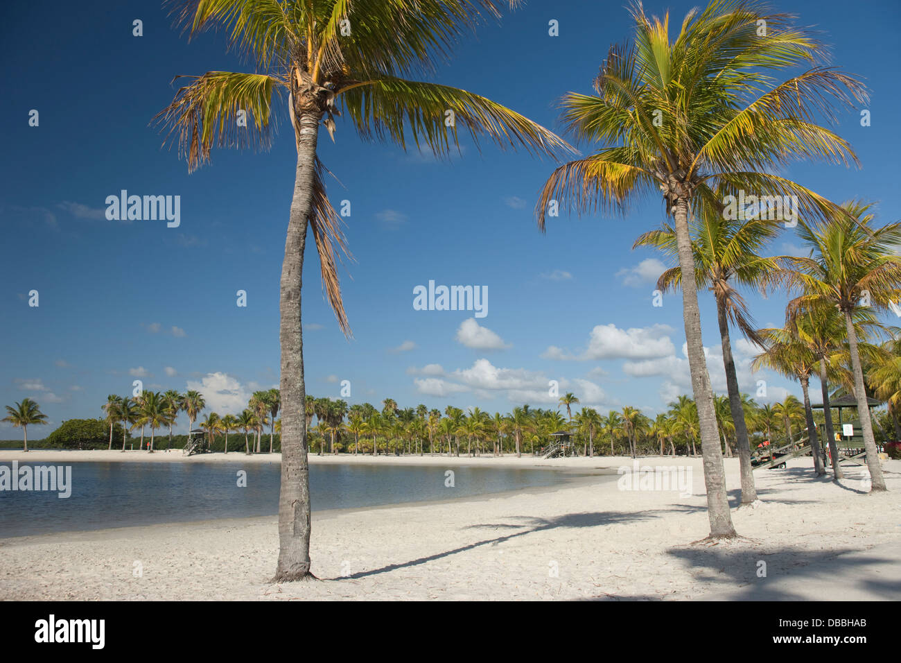 SAND BEACH MATHESON HAMMOCK COUNTY PARK MIAMI FLORIDA USA Stock Photo