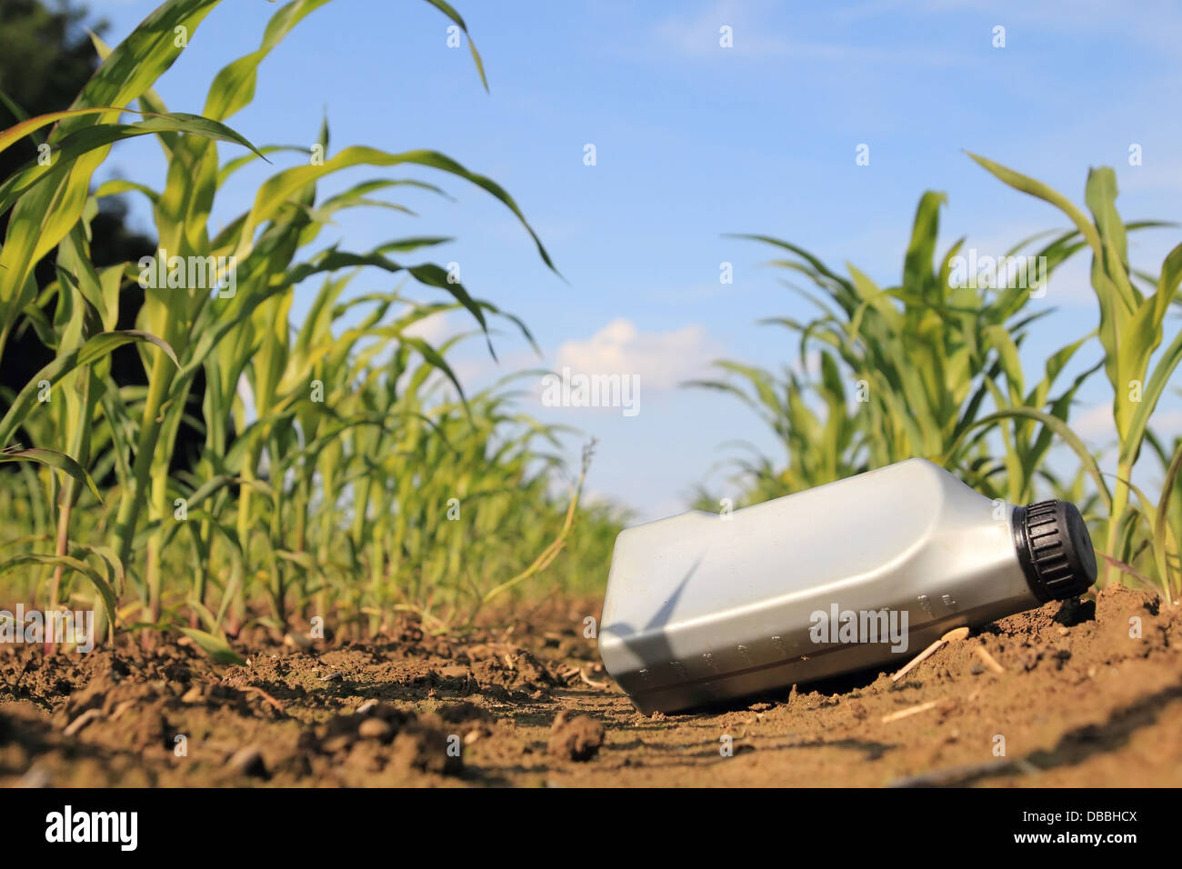 Old oil can wasting a cornfield Stock Photo