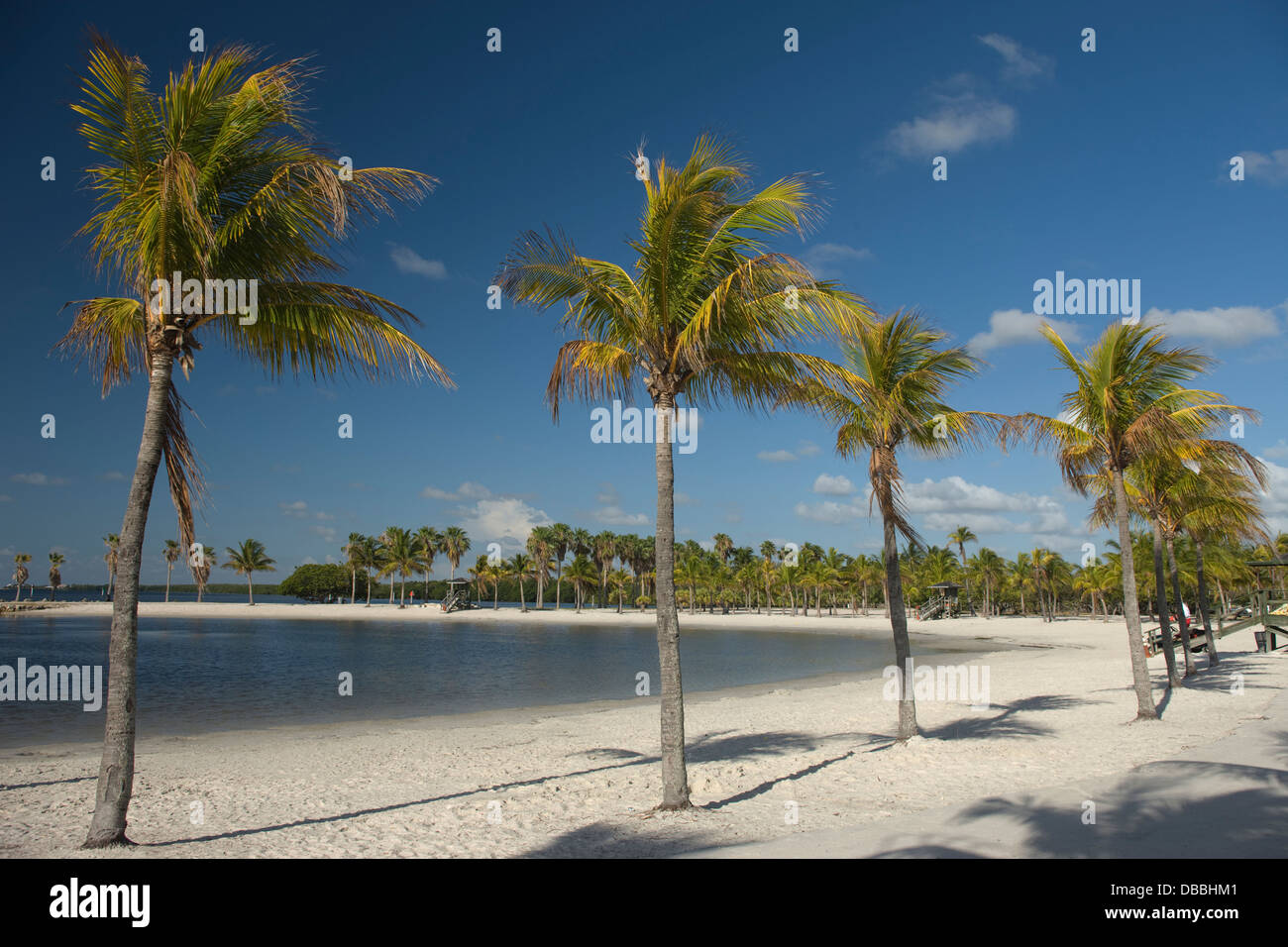 SAND BEACH MATHESON HAMMOCK COUNTY PARK MIAMI FLORIDA USA Stock Photo