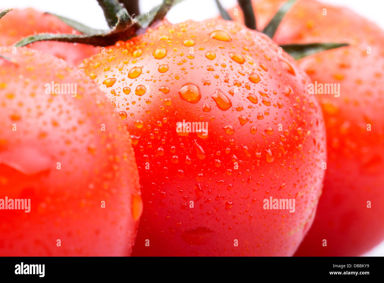 cherry tomatoes on a white macro background with water drops Stock ...