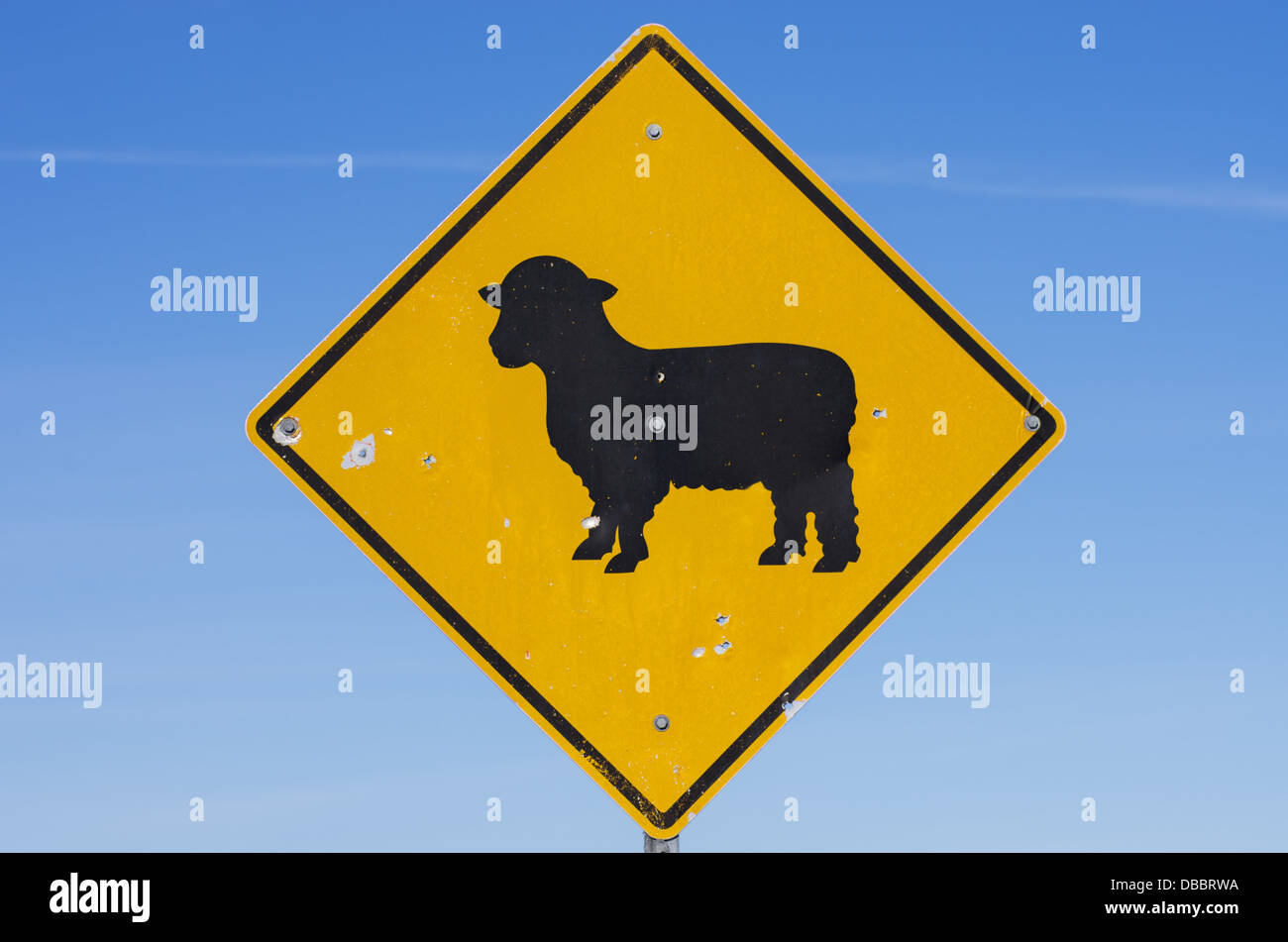 yellow and black sheep road sign with blue sky background Stock Photo