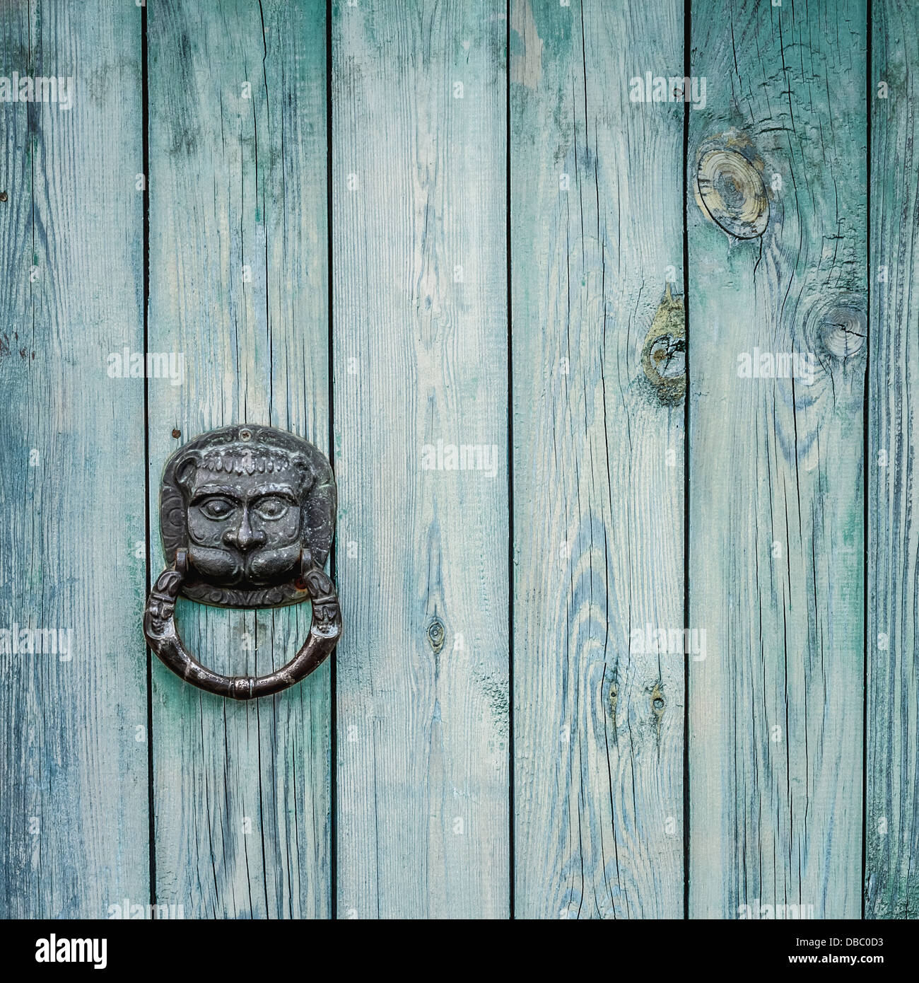 Decorative gilded lion head door knob. Lion head, brass door knocker