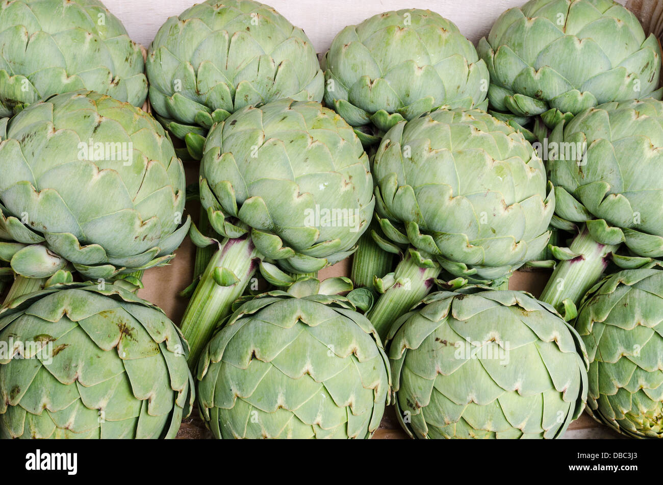 Fresh artichokes in a box at a market in the town of Nérac, France Stock Photo